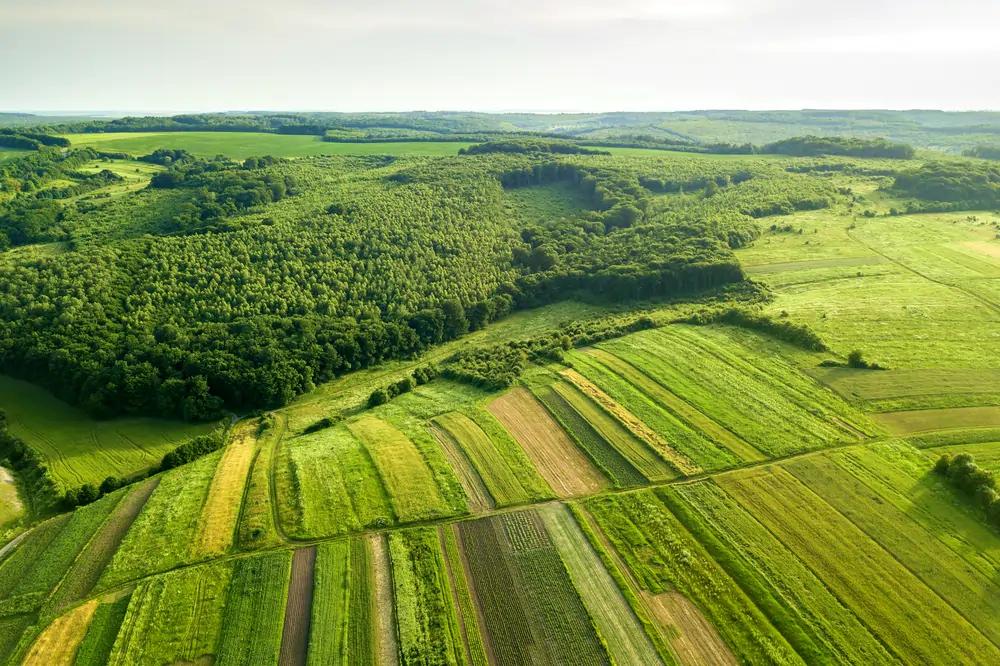 Birdseye view of farmlands